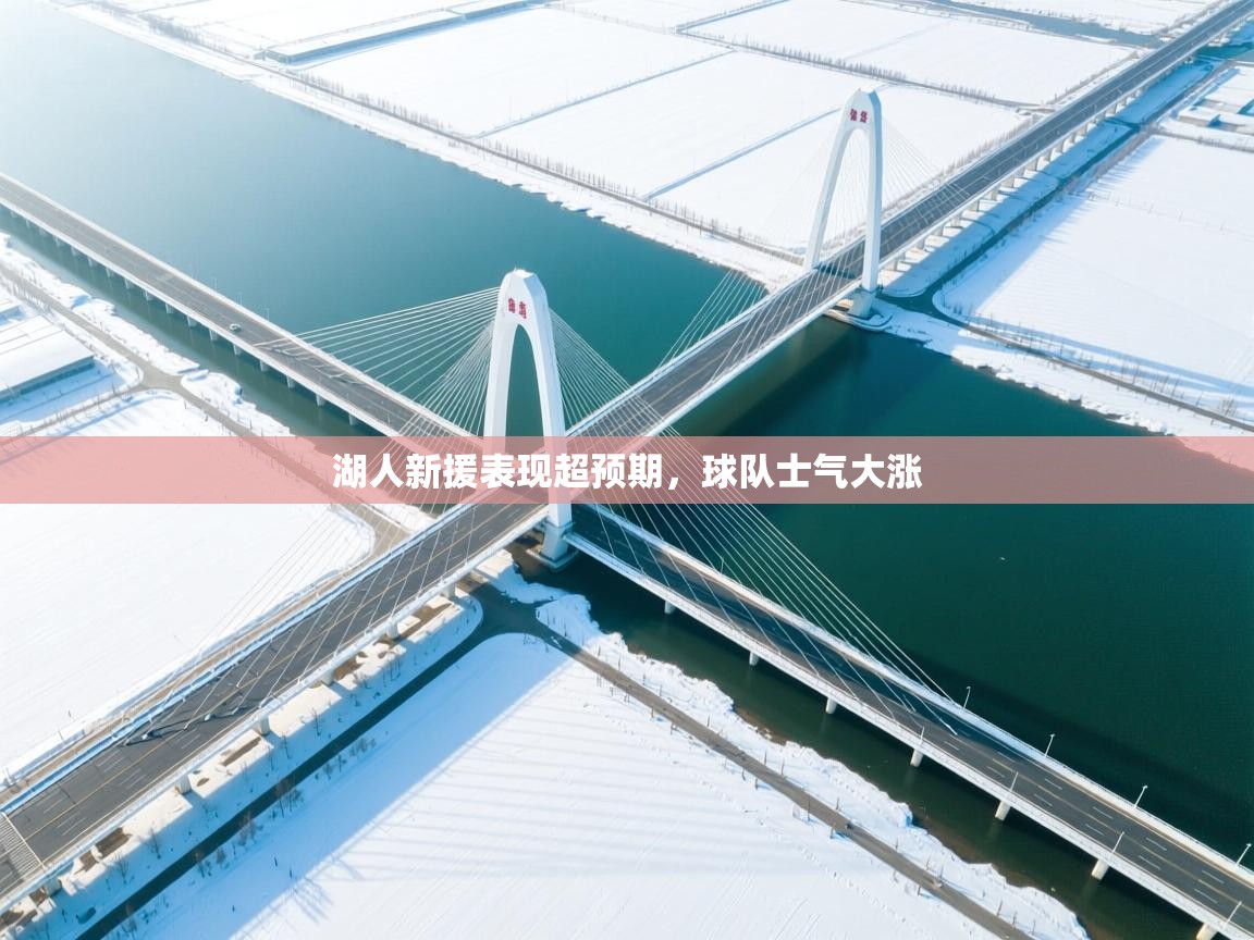 湖人新援表现超预期,球队士气大涨 第1张